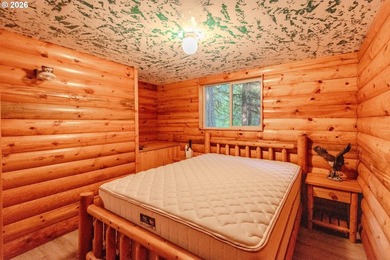 Charming Off-Grid Retreat at Swift Reservoir Northwoods - photo 15