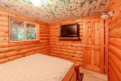 Charming Off-Grid Retreat at Swift Reservoir Northwoods - photo 16