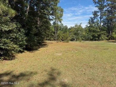 Lake Lot For Sale in Tabor City, North Carolina