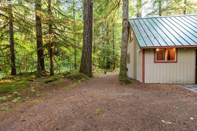 Charming Off-Grid Retreat at Swift Reservoir Northwoods - photo 21