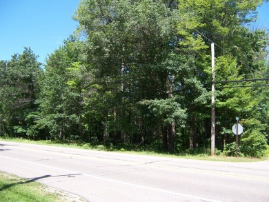 Houghton Lake Lot For Sale in Houghton Lake Michigan