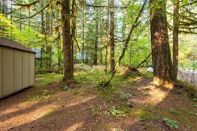 Charming Off-Grid Retreat at Swift Reservoir Northwoods - photo 22