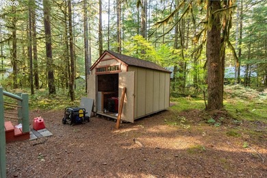 Charming Off-Grid Retreat at Swift Reservoir Northwoods - photo 23