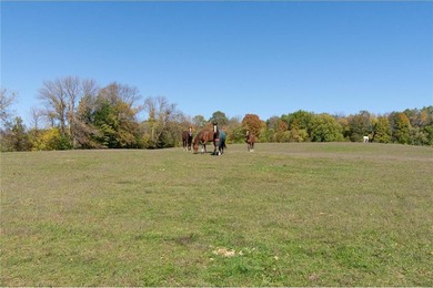 Late 19th Century property with many huge mature trees on - photo 40