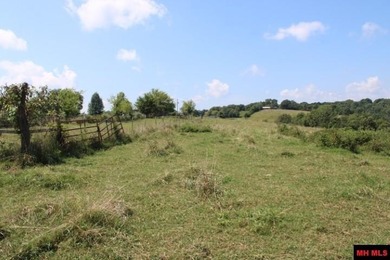 (private lake, pond, creek) Home For Sale in Marshall Arkansas