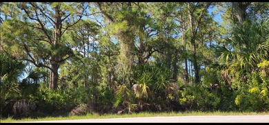 Port Charlotte Waterway Area Lot For Sale in Port Charlotte Florida