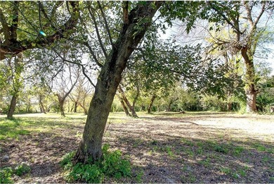 Late 19th Century property with many huge mature trees on - photo 43