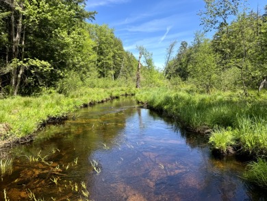 Wooded Camper or Cabin Site Near Oneida Lake - photo 1