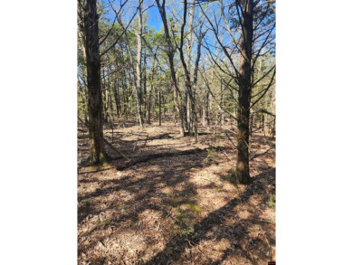 Lake Acreage For Sale in Flippin, Arkansas