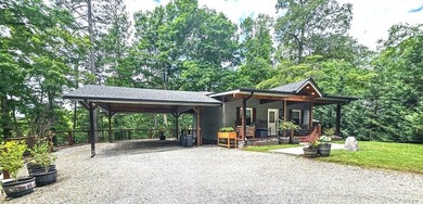 (private lake, pond, coastal) Home For Sale in Murphy North Carolina