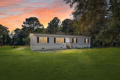 Lake Home For Sale in Hollywood, South Carolina