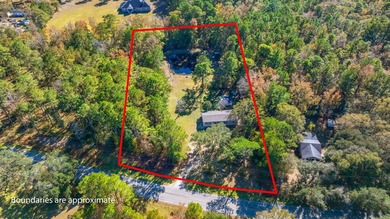 Discover peaceful Lowcountry living in this charming 2022 home - photo 2