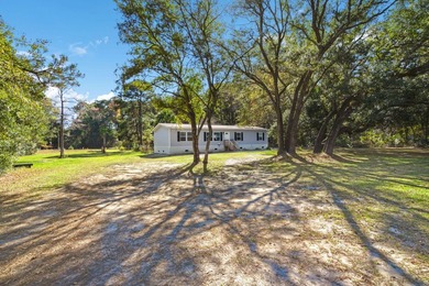 Discover peaceful Lowcountry living in this charming 2022 home - photo 3