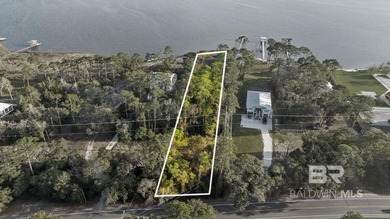 Rare opportunity to own 70 feet of waterfront on Little Lagoon - photo 16