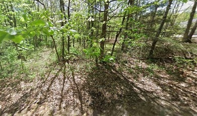Lake Loch Lomond Lot For Sale in Bella Vista Arkansas