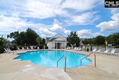 Welcome home to 116 Wingspan Way! Located in Chapin's Eagle - photo 2