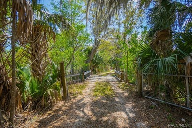 Absolutely breathtaking 4.7-acre waterfront property nestled - photo 45