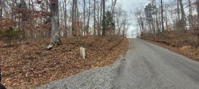 Lake Barkley Lot For Sale in Bumpus Mills Tennessee