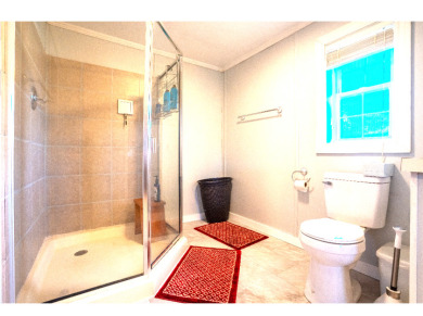 Home on 3 lots with dock at Lake Nehai - photo 15