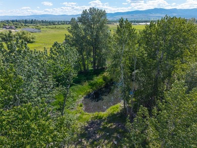 PUBLIC REMARKS: Nestled on 10.31 scenic acres including a great - photo 15