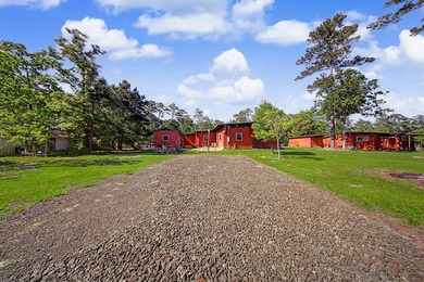 Discover the charm of Lake Sam Rayburn in this distinctive - photo 28