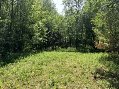 Wooded Camper or Cabin Site Near Oneida Lake - photo 5