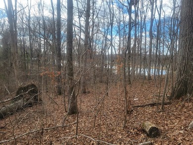 Waterfront building lot in the Holiday Shores area of Bumpus - photo 2
