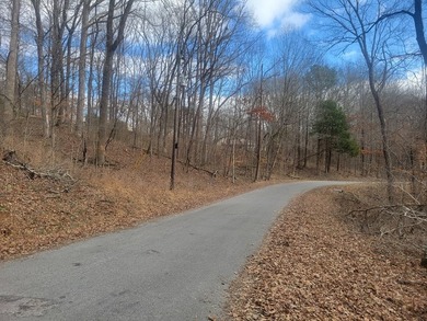 Waterfront building lot in the Holiday Shores area of Bumpus - photo 3