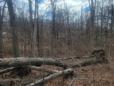 Waterfront building lot in the Holiday Shores area of Bumpus - photo 4