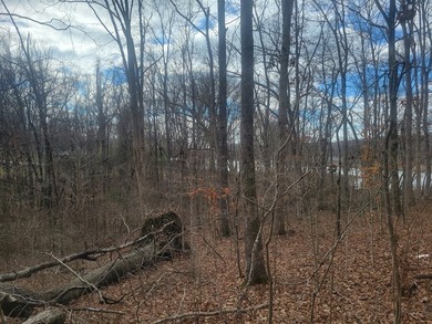 Waterfront building lot in the Holiday Shores area of Bumpus - photo 5