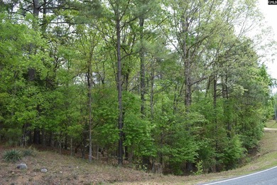 Wooded second row lot at Lake Wateree with some Lake views - photo 1
