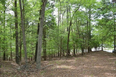 Wooded second row lot at Lake Wateree with some Lake views - photo 2