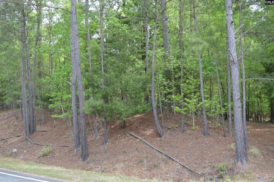 Wooded second row lot at Lake Wateree with some Lake views - photo 3