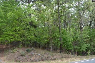 Wooded second row lot at Lake Wateree with some Lake views - photo 5