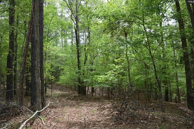 Wooded second row lot at Lake Wateree with some Lake views - photo 6