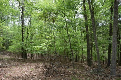 Wooded second row lot at Lake Wateree with some Lake views - photo 7