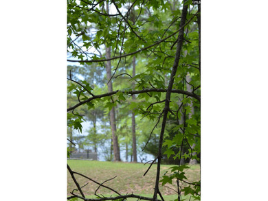 Wooded second row lot at Lake Wateree with some Lake views - photo 8