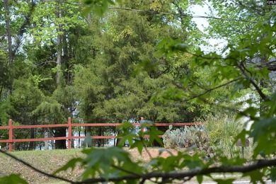 Wooded second row lot at Lake Wateree with some Lake views - photo 9