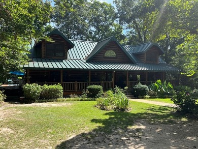 WATERFRONT LOG HOME!!! Located between Fort Gaines, Georgia and - photo 2