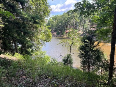 WATERFRONT LOG HOME!!! Located between Fort Gaines, Georgia and - photo 4