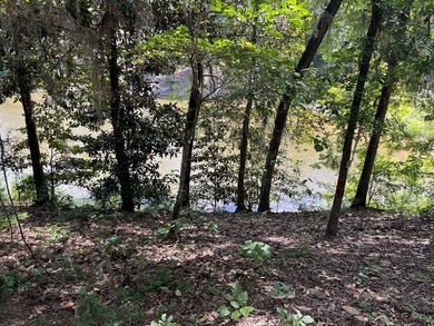 WATERFRONT LOG HOME!!! Located between Fort Gaines, Georgia and - photo 5