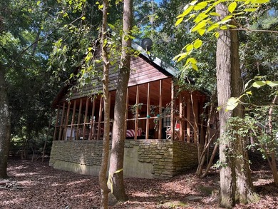 WATERFRONT LOG HOME!!! Located between Fort Gaines, Georgia and - photo 7