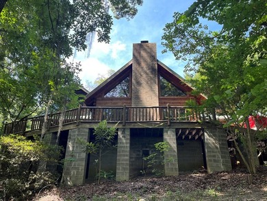 WATERFRONT LOG HOME!!! Located between Fort Gaines, Georgia and - photo 9