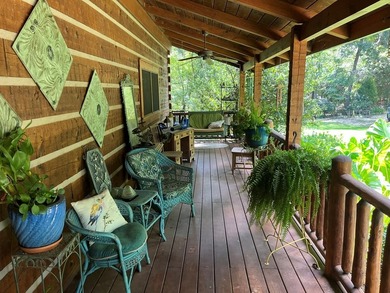 WATERFRONT LOG HOME!!! Located between Fort Gaines, Georgia and - photo 10