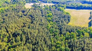 Discover the perfect blend of investment, recreation, and - photo 25