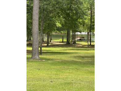 Come experience lakefront living on this beautiful, level lot - photo 4