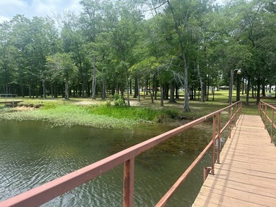 Come experience lakefront living on this beautiful, level lot - photo 5