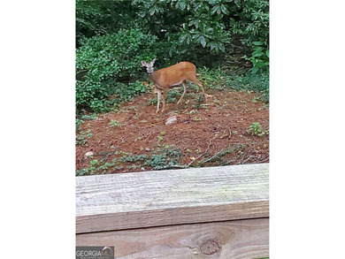 Welcome to Princeton Lakes, one of East Cobb's most established - photo 35