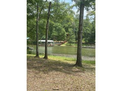 Come experience lakefront living on this beautiful, level lot - photo 6