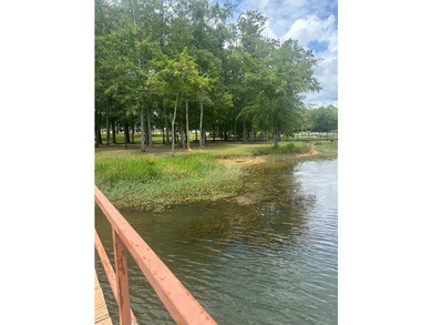 Come experience lakefront living on this beautiful, level lot - photo 7